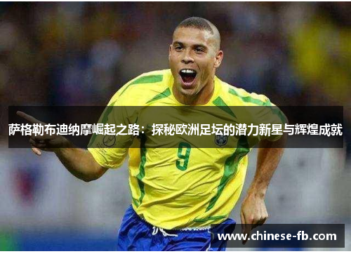 萨格勒布迪纳摩崛起之路：探秘欧洲足坛的潜力新星与辉煌成就