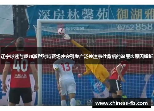 辽宁球迷与裁判激烈对峙赛场冲突引发广泛关注事件背后的深层次原因解析