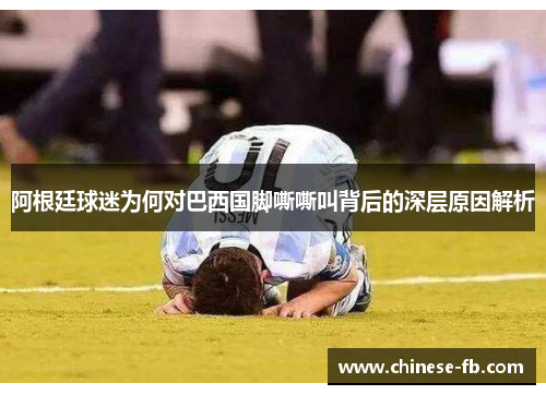 阿根廷球迷为何对巴西国脚嘶嘶叫背后的深层原因解析