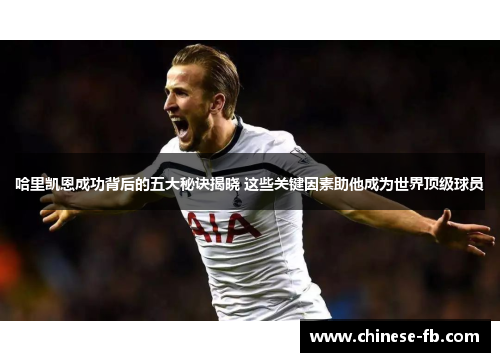 哈里凯恩成功背后的五大秘诀揭晓 这些关键因素助他成为世界顶级球员