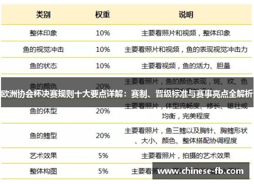 欧洲协会杯决赛规则十大要点详解：赛制、晋级标准与赛事亮点全解析