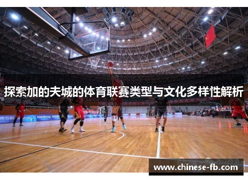 探索加的夫城的体育联赛类型与文化多样性解析