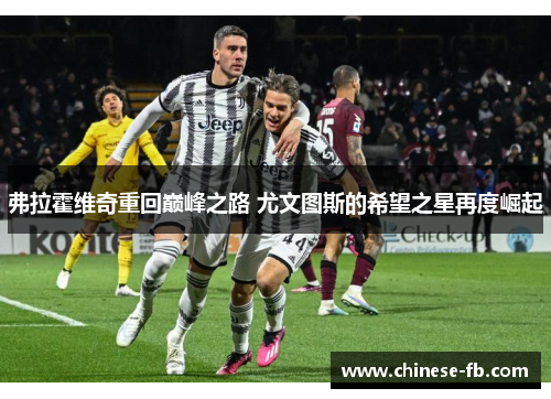 弗拉霍维奇重回巅峰之路 尤文图斯的希望之星再度崛起