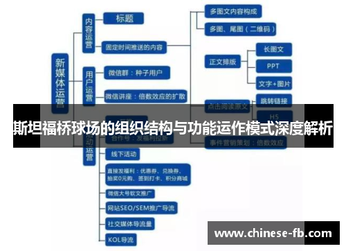 斯坦福桥球场的组织结构与功能运作模式深度解析
