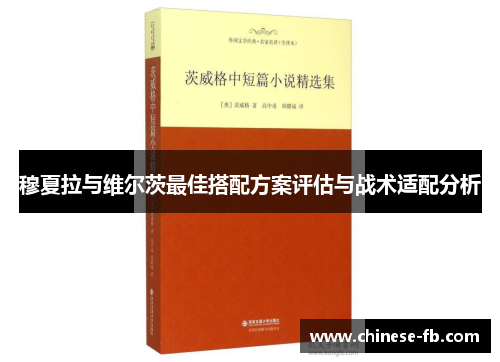 穆夏拉与维尔茨最佳搭配方案评估与战术适配分析