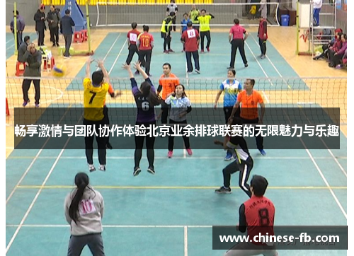 畅享激情与团队协作体验北京业余排球联赛的无限魅力与乐趣