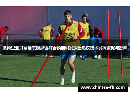 佩德里亚冠赛场表现是否符合预期引发球迷热议技术发挥数据与影响