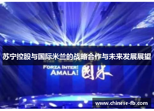 苏宁控股与国际米兰的战略合作与未来发展展望 苏宁控股与国际米兰的战略合作与未来发展展望