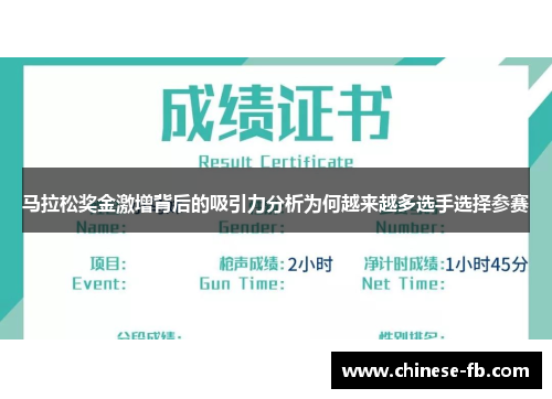 马拉松奖金激增背后的吸引力分析为何越来越多选手选择参赛