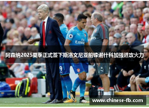 阿森纳2025夏季正式签下斯洛文尼亚前锋谢什科加强进攻火力